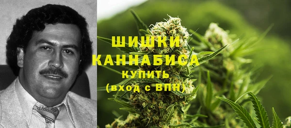 ГАЛЛЮЦИНОГЕННЫЕ ГРИБЫ Армянск