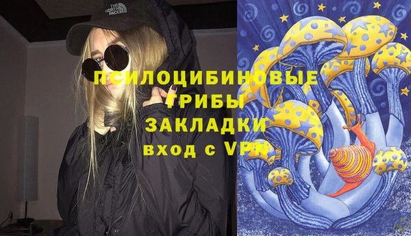 ГАЛЛЮЦИНОГЕННЫЕ ГРИБЫ Армянск